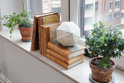 Böcker och krukor ståendes på en fönsterbänk i sten